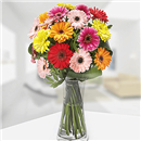 /fileuploads/Produtos/Composições Florais/thumb__Isisflor_Jarra_de_Gerberas_01.png